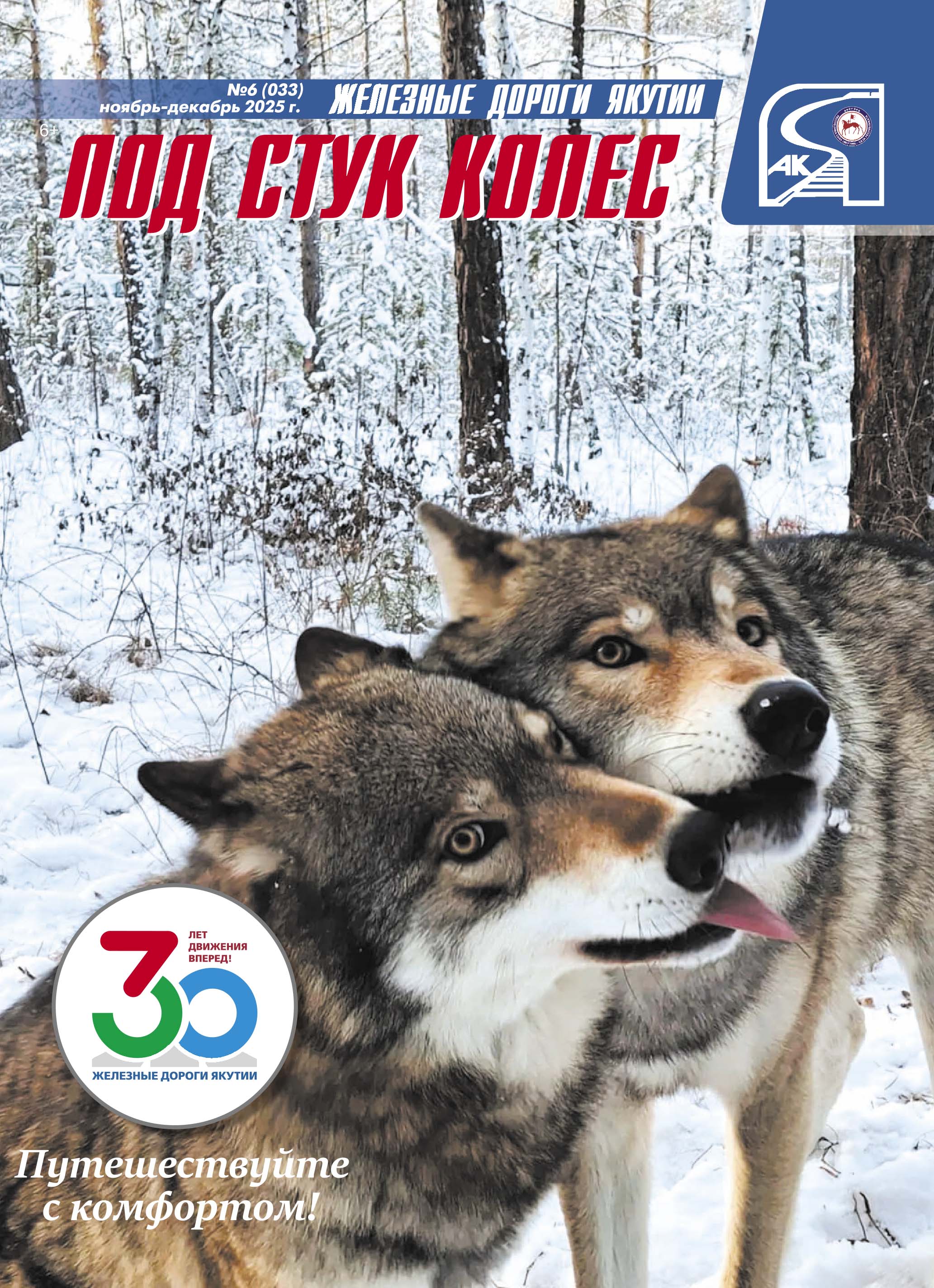 Выпуск №6 (033)