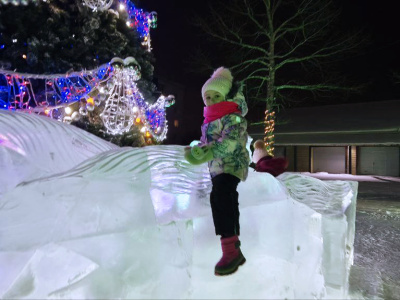 В АО «АК «ЖДЯ» зажгли главный символ Нового года
